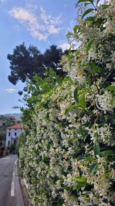Vista Bella House Διαμέρισμα Σαν Ρέμο Εξωτερικό φωτογραφία